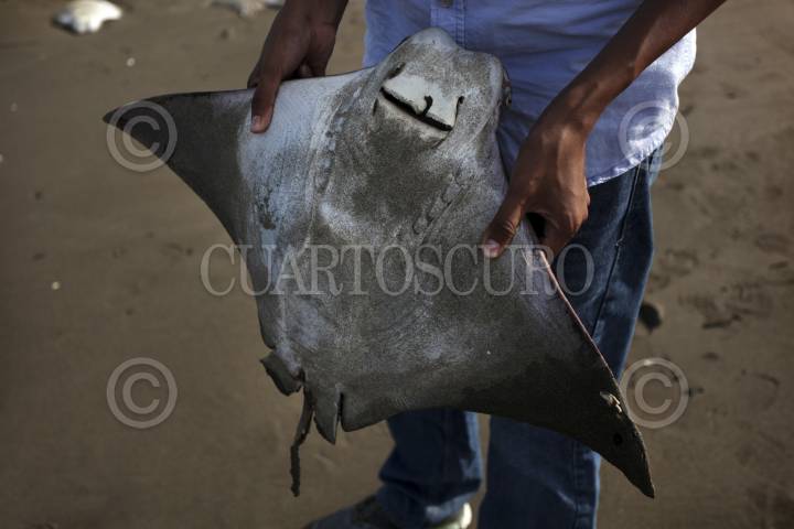 Cuartoscuro - Agencia de Fotografía y Editora