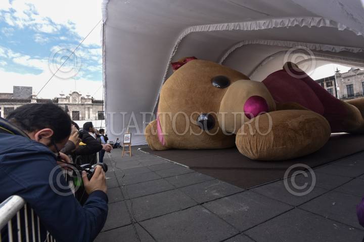 Camara de peluche -  México