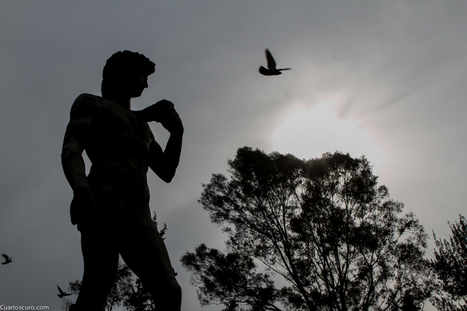 © Moisés Pablo /Cuartoscuro.com