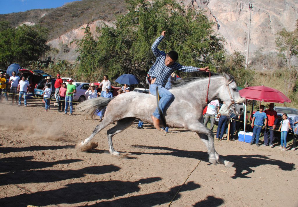 CHILPANCINGO, GUERRERO, 30DICIEMBRE2016.- Jinetes llevaron acabo una carrera de caballos "docientas varas" en la que participaron diferentes participantes del estado,  la carrera se llevó acabo en la quebradora cerca del crucero de Chichihualco. FOTO: JOSÉ I. HERNANDEZ /CUARTOSCURO.COM